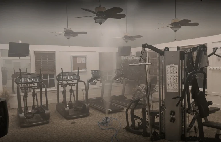 Patented Mold Remediation